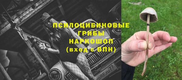 гашик Алзамай