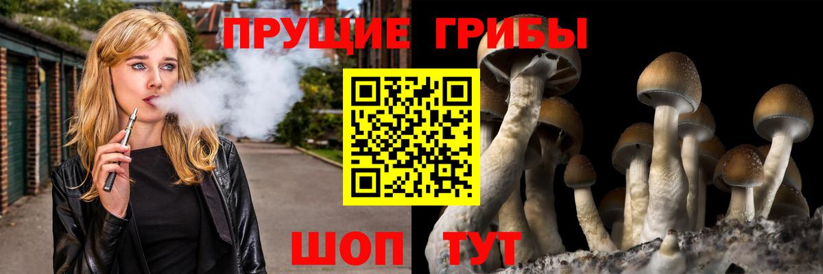 Первоуральск  Галлюциногенные грибы мицелий  Вход с VPN 